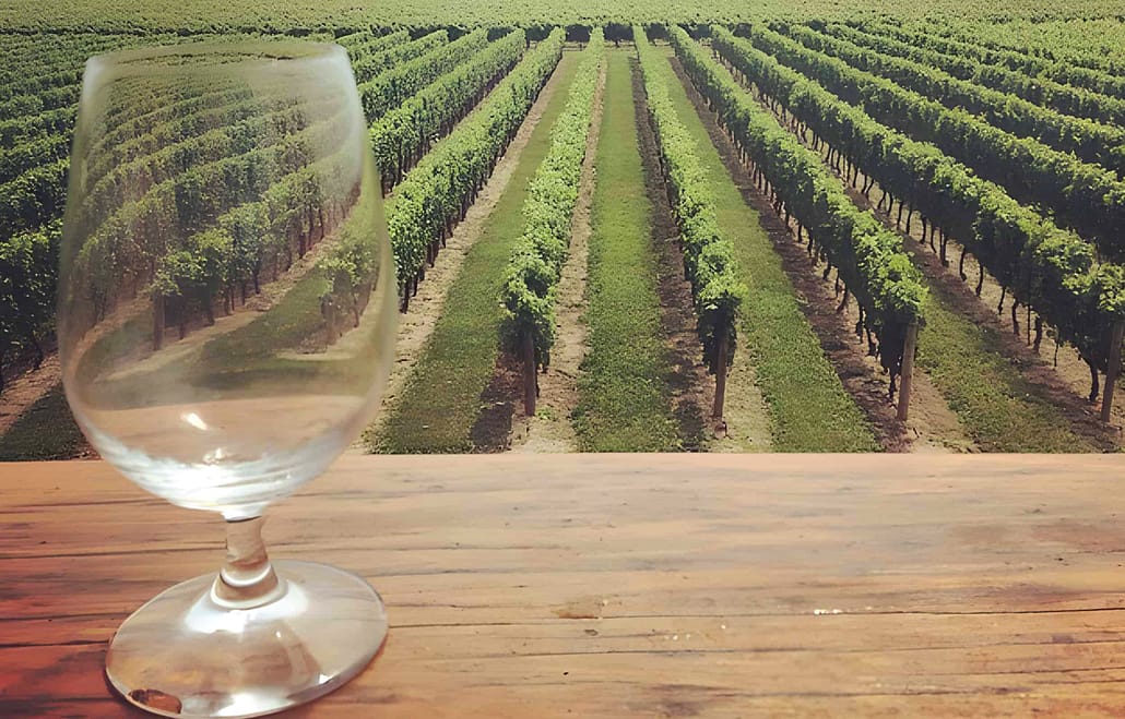 Jackson Triggs Wine Tasting Experience Tours from Toronto