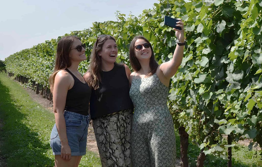 Niagara Falls Wine Tour and Tasting