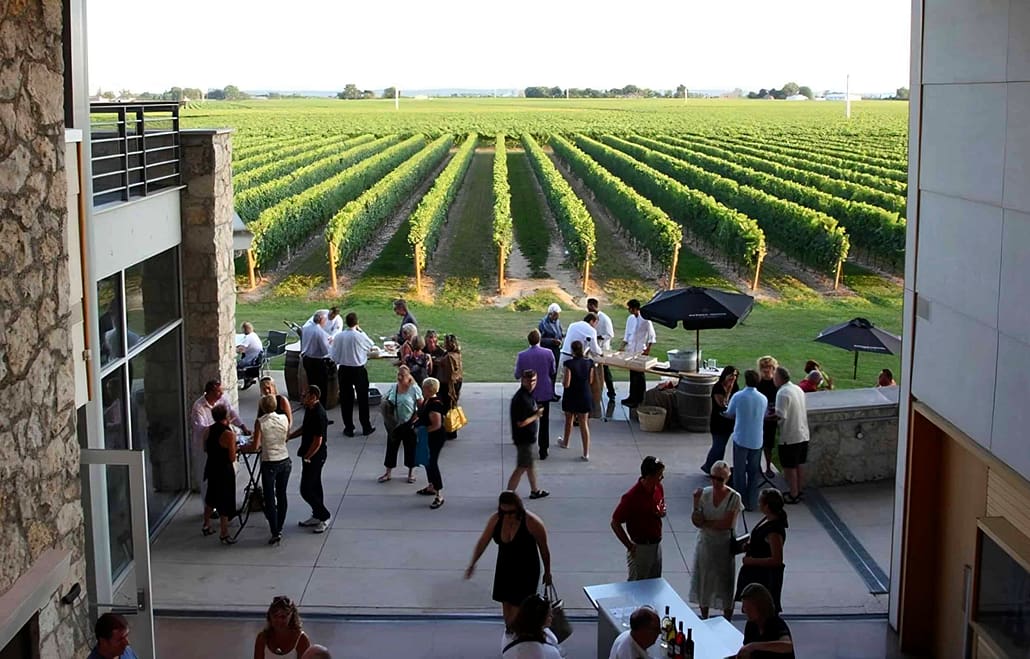 Jackson Triggs Estate Winery Tours and Tasting from Toronto