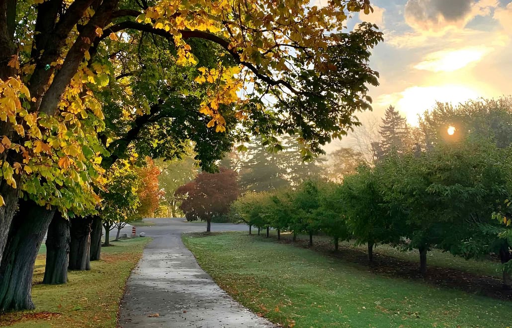 Walker's Country Market Views