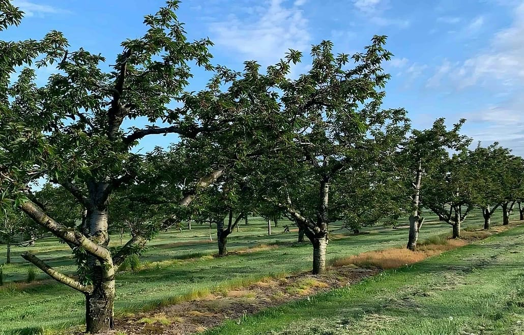 Niagara-on-the-Lake Farm Tours From Toronto