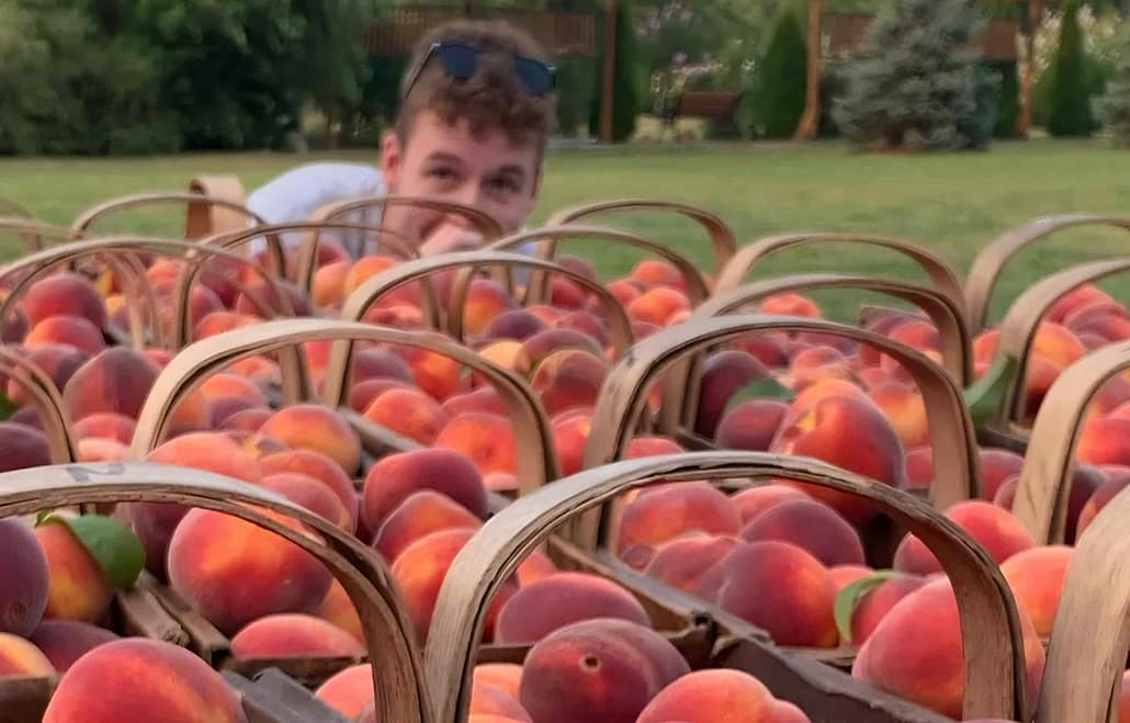 Niagara-on-the-Lake Country Market Farm Tours