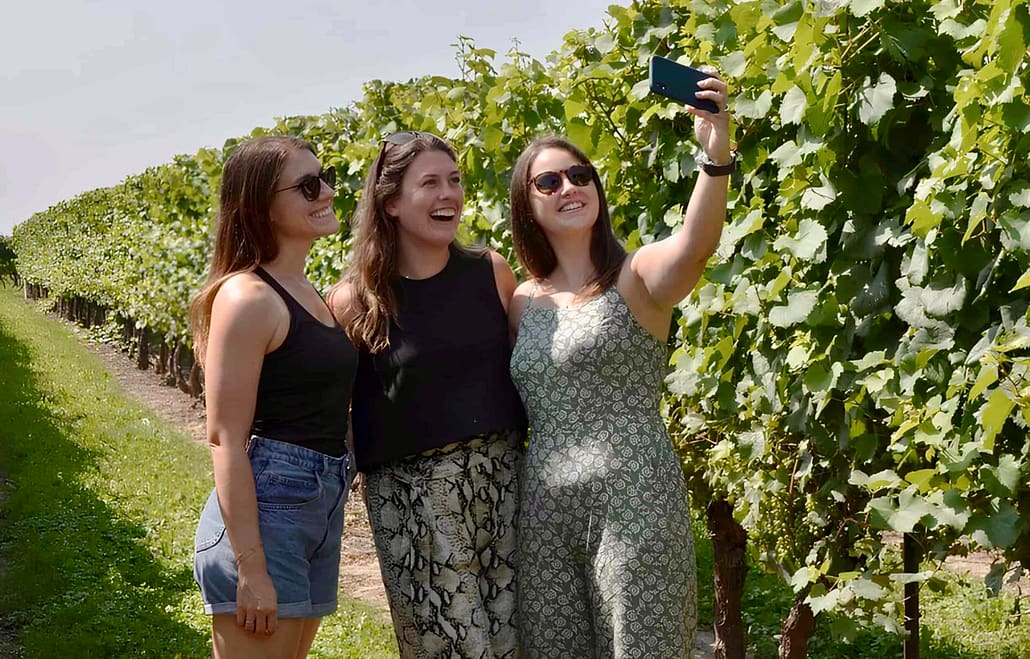 Niagara-on-the-Lake Wine Tasting Tour From Toronto