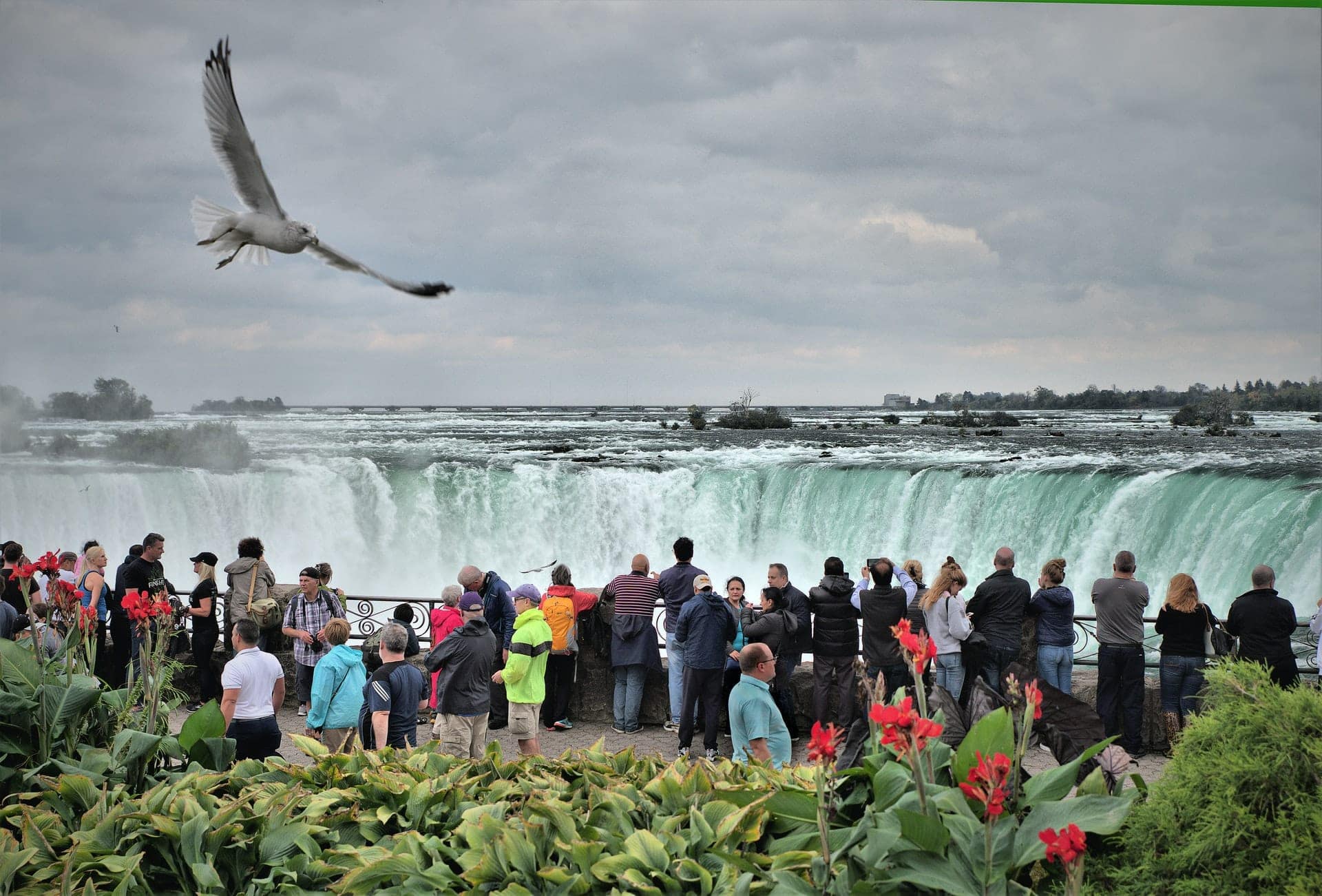 How to get to Niagara Falls From Toronto by Bus, Go Train, Uber or Tour