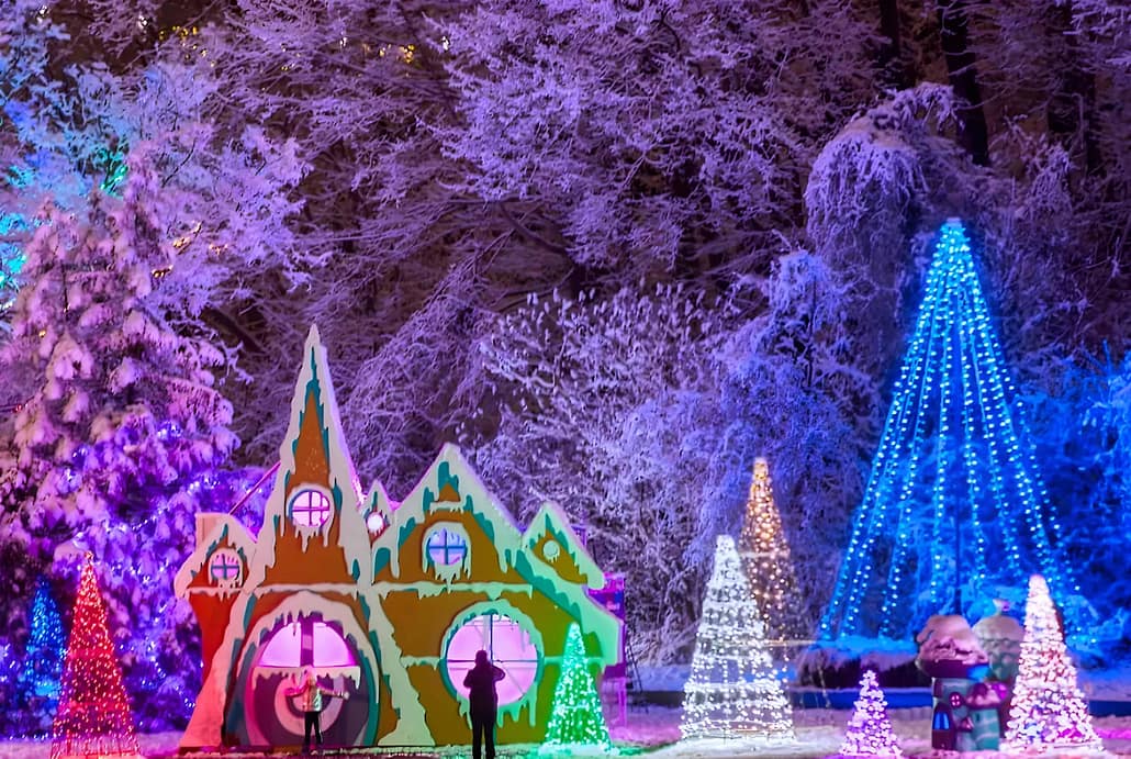 From Toronto: Niagara Falls Day and Evening Tour 12 Niagara Winter Festival of Lights Tour