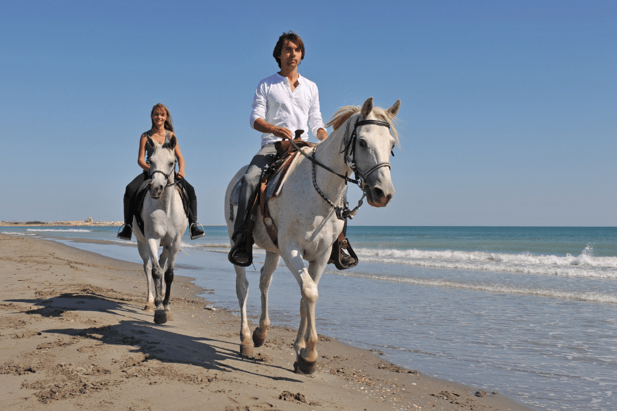 8 Date Ideas That Cost Over CA$100 for Couples in Toronto (Updated 2024) 3 Date Ideas3