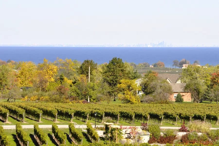 5 Best Niagara Wine Tours to Experience in 2025 3 Grape Escape Wine Tours Bicycle Adventure
