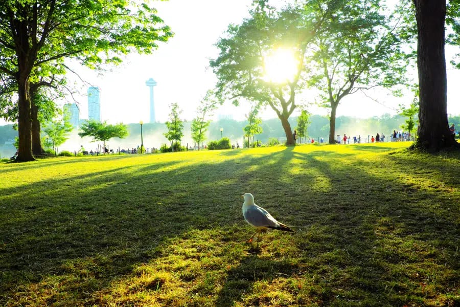 The Best of Niagara Falls In the Summer 3 Niagara Falls Summer Hidden Gems