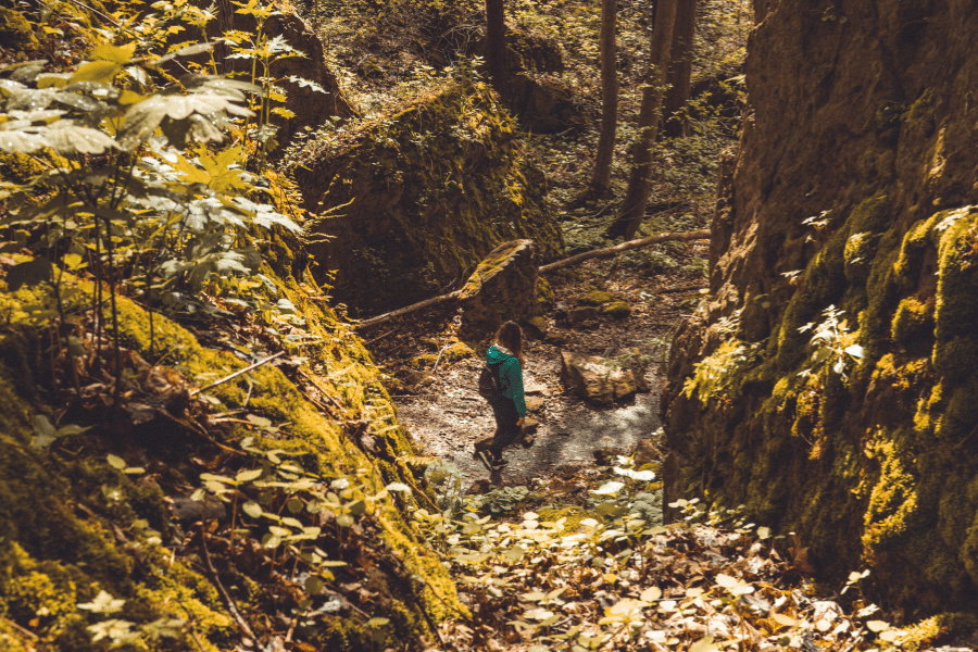 Best Autumn Hiking Trails Near Niagara Falls 1 Firemans Park Loop