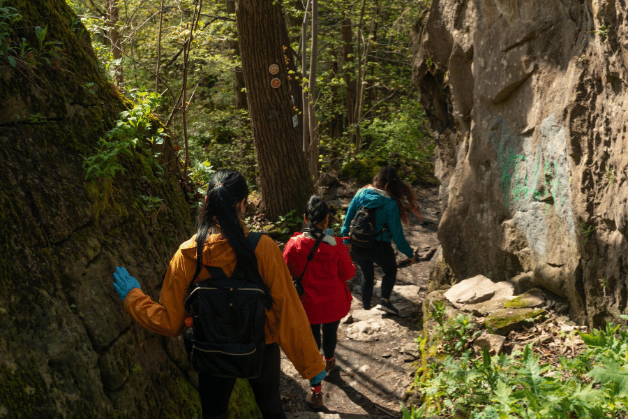 Best Autumn Hiking Trails Near Niagara Falls 3 Wetland Ridge Side Trail